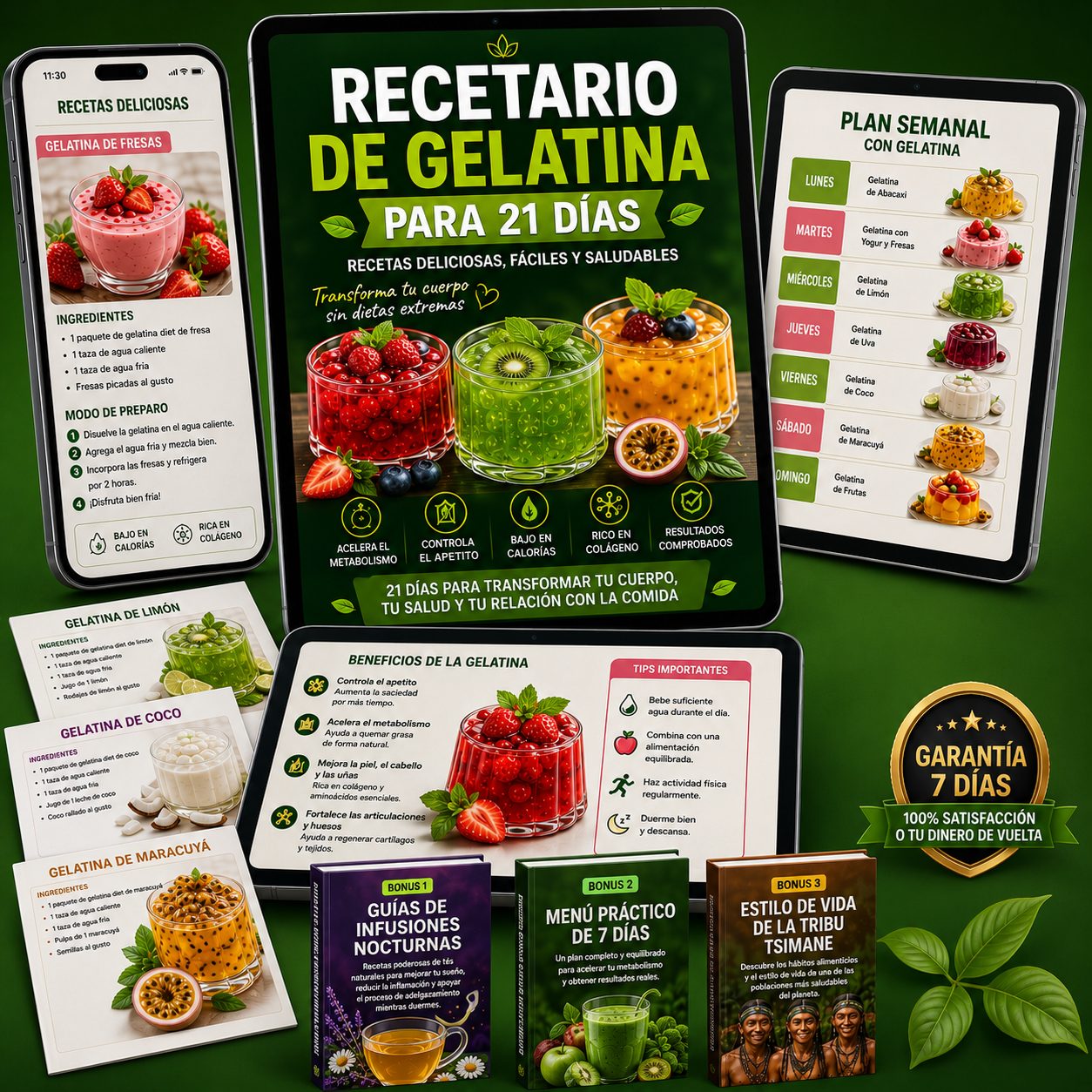 Mockup Recetario de Gelatina para 21 Días